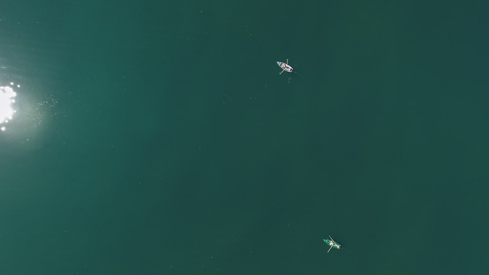 水域での2隻のボートの航空写真