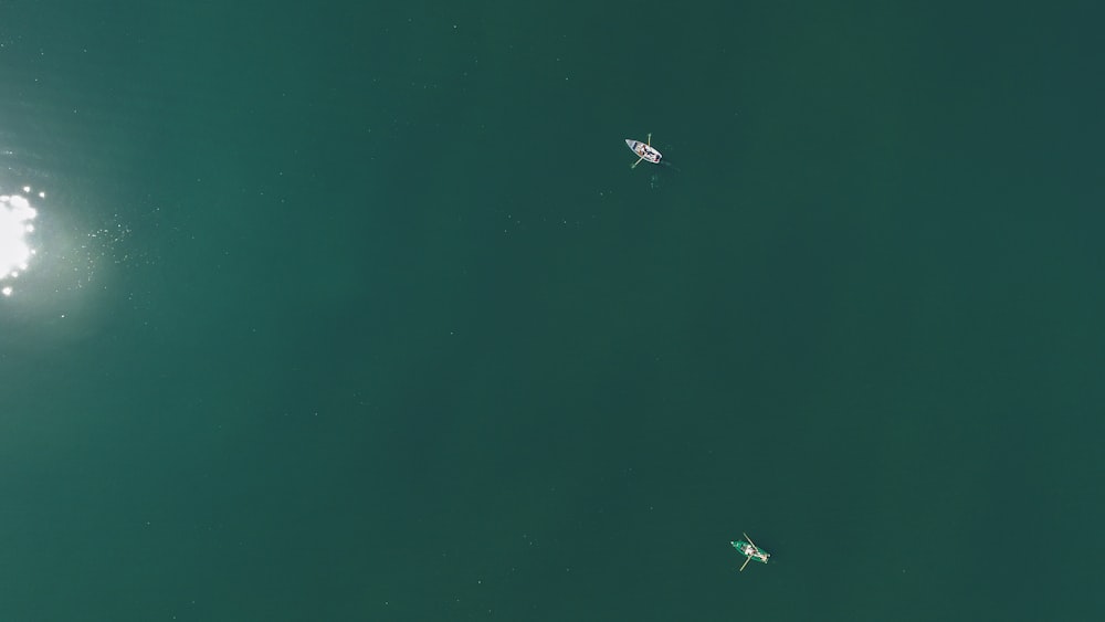 Luftaufnahme von zwei Booten auf einem Gewässer