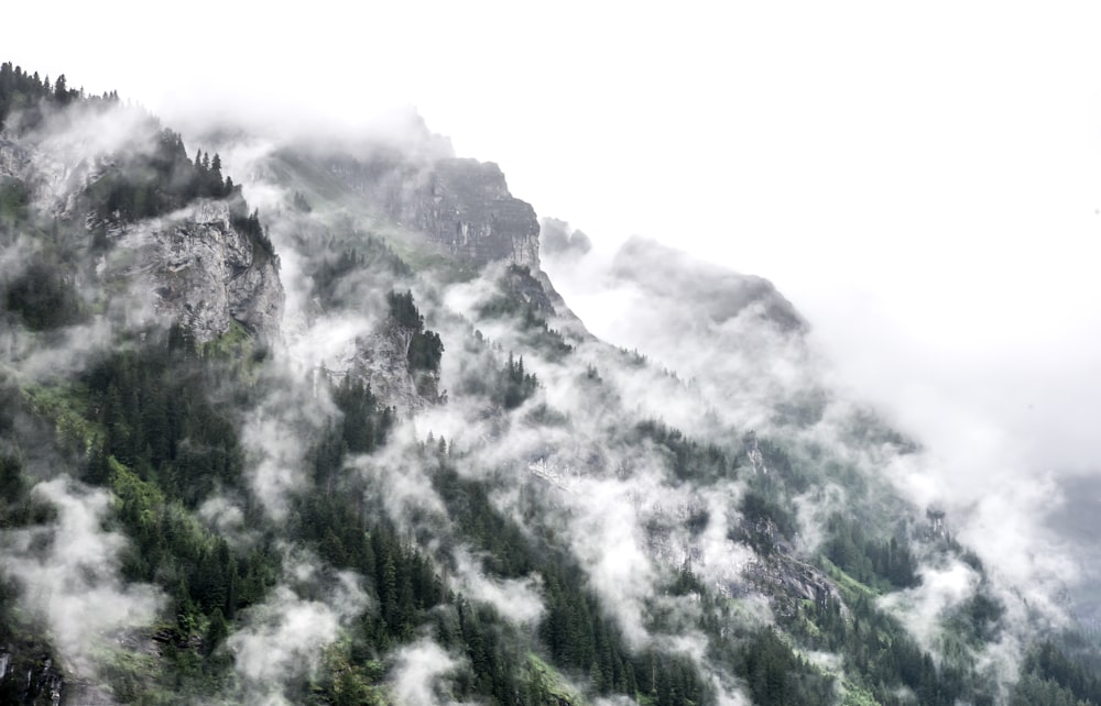 산의 풍경 사진