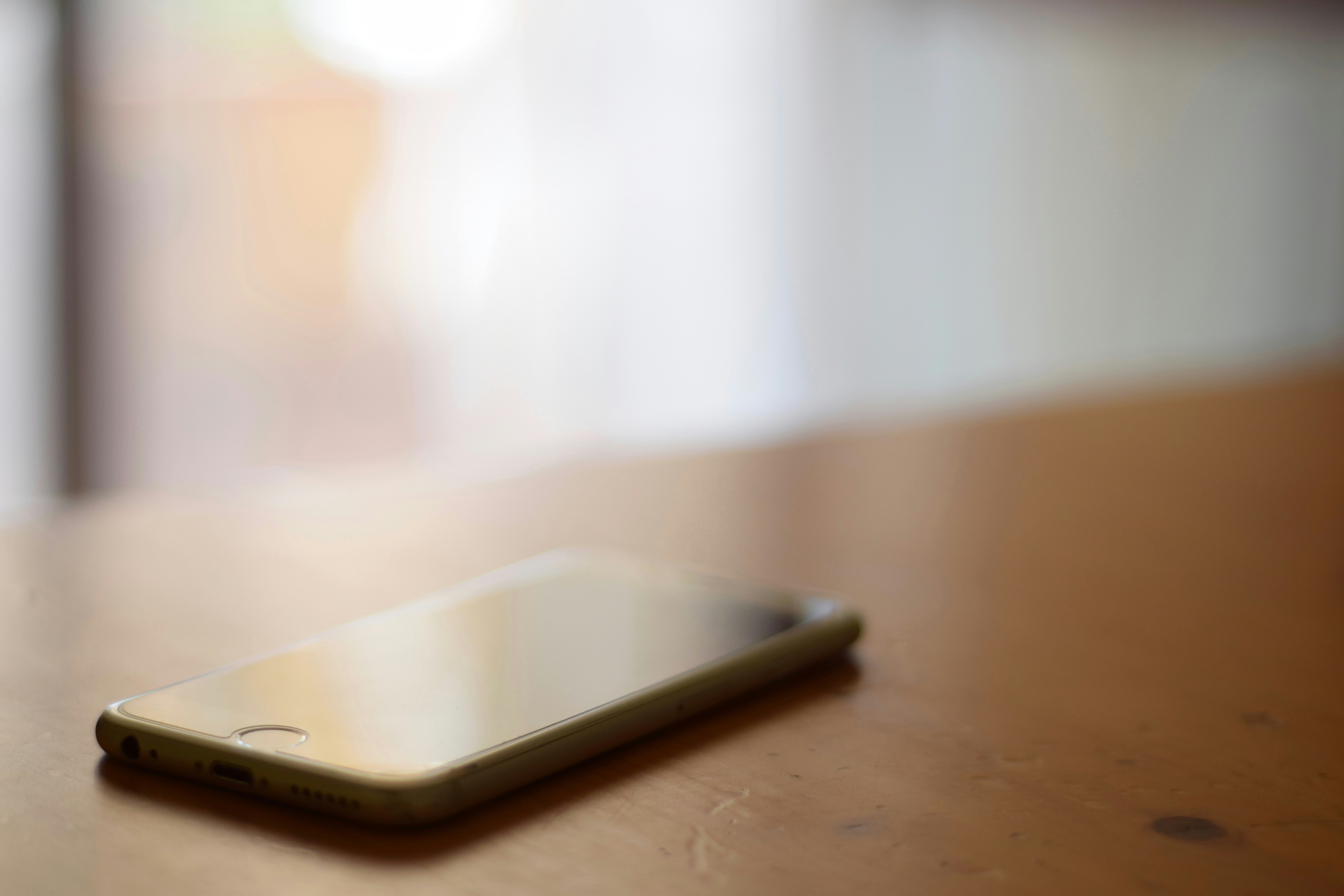 Free Unsplash photo from Matteo Fiorino