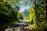 A sunny mountain trail winding through lush green forests under a bright blue sky.