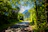 A sunny mountain trail winding through lush green forests under a bright blue sky.