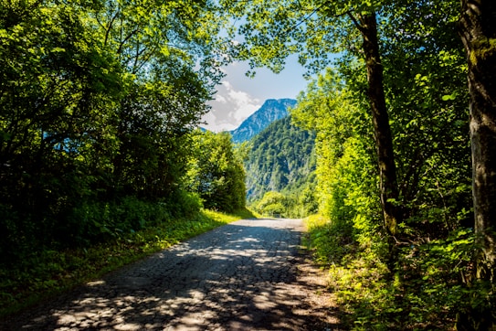 A narrow, winding path leads through a lush, green forest with abundant foliage. Sunlight filters through the trees, casting dappled shadows on the trail. In the distance, a prominent mountain rises, partially obscured by flecks of clouds against a bright blue sky.