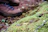 Close-up of trekking boots on a mossy forest floor with autumn leaves scattered around.