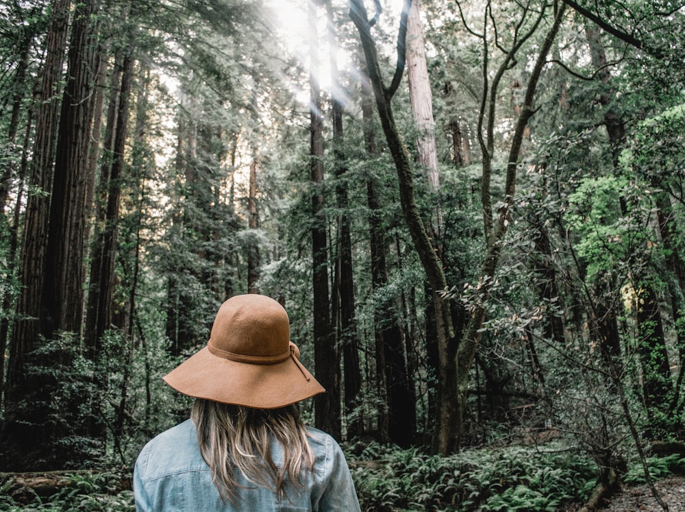 person wearing brown sun hat surrounded trees