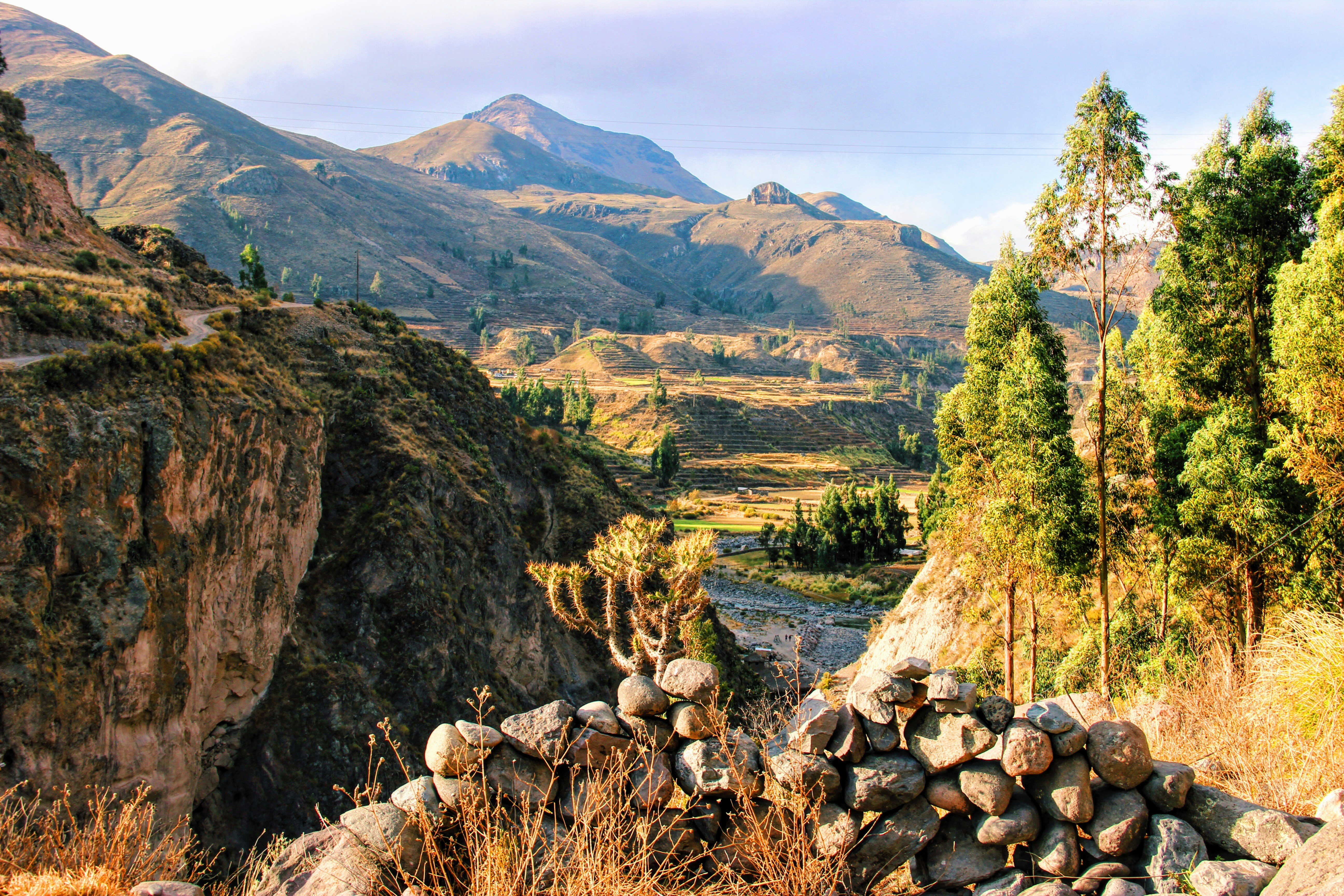 Free Unsplash photo from Chiara Sironi