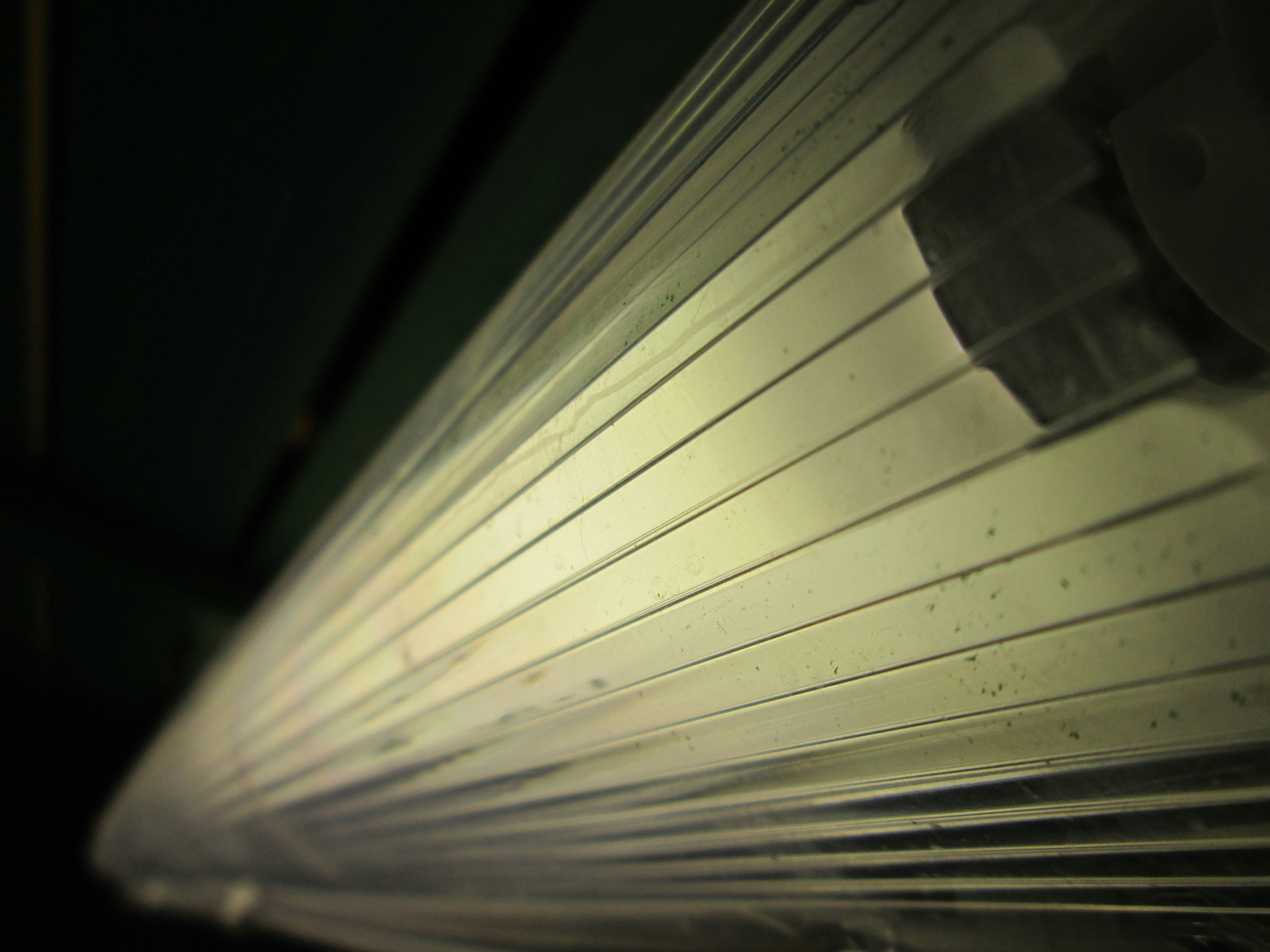 Free Unsplash photo from Rory McGrath