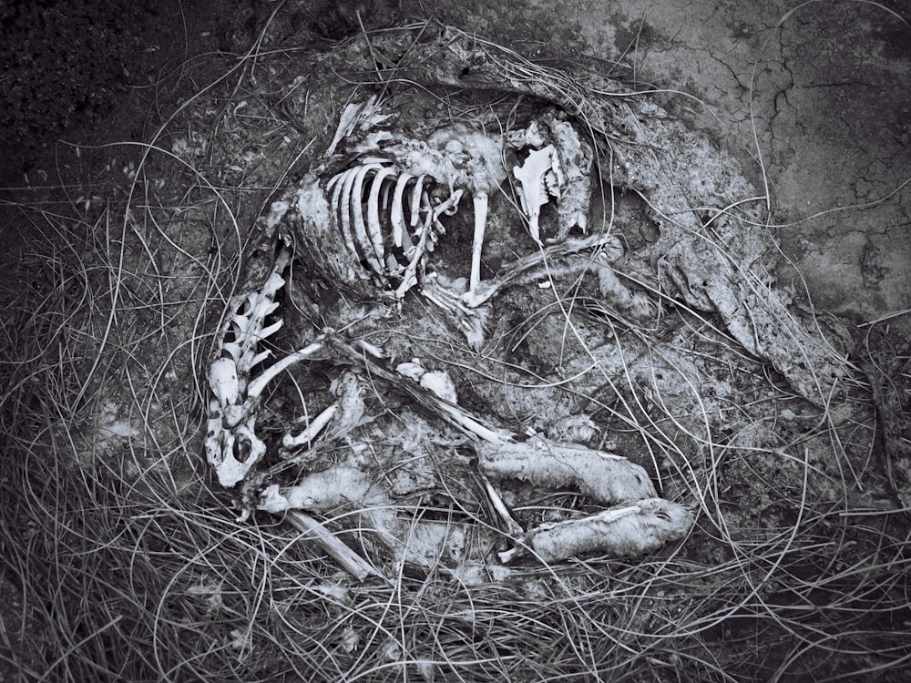 Black And White Images