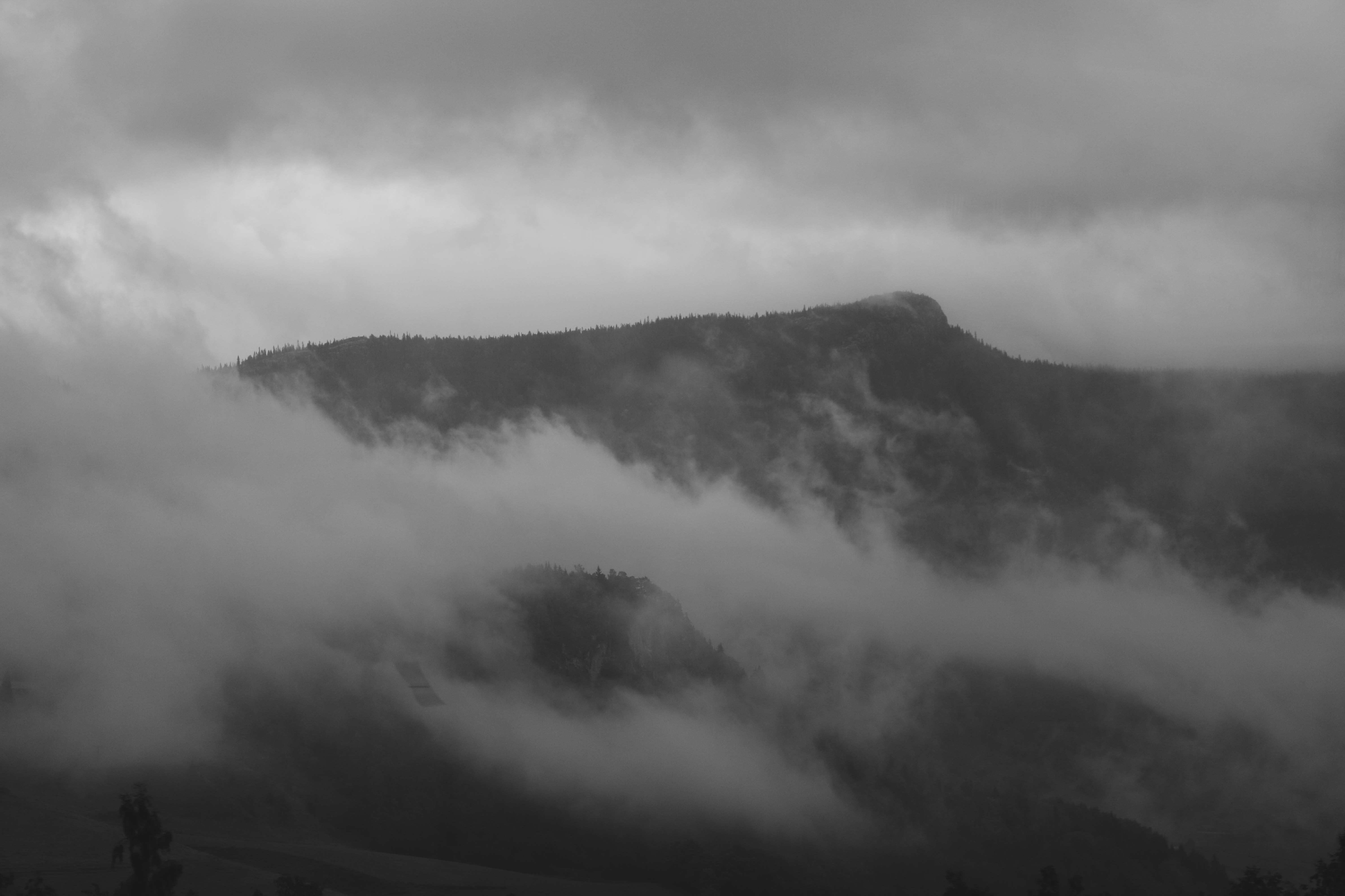 Free Unsplash photo from Ben Shanahan