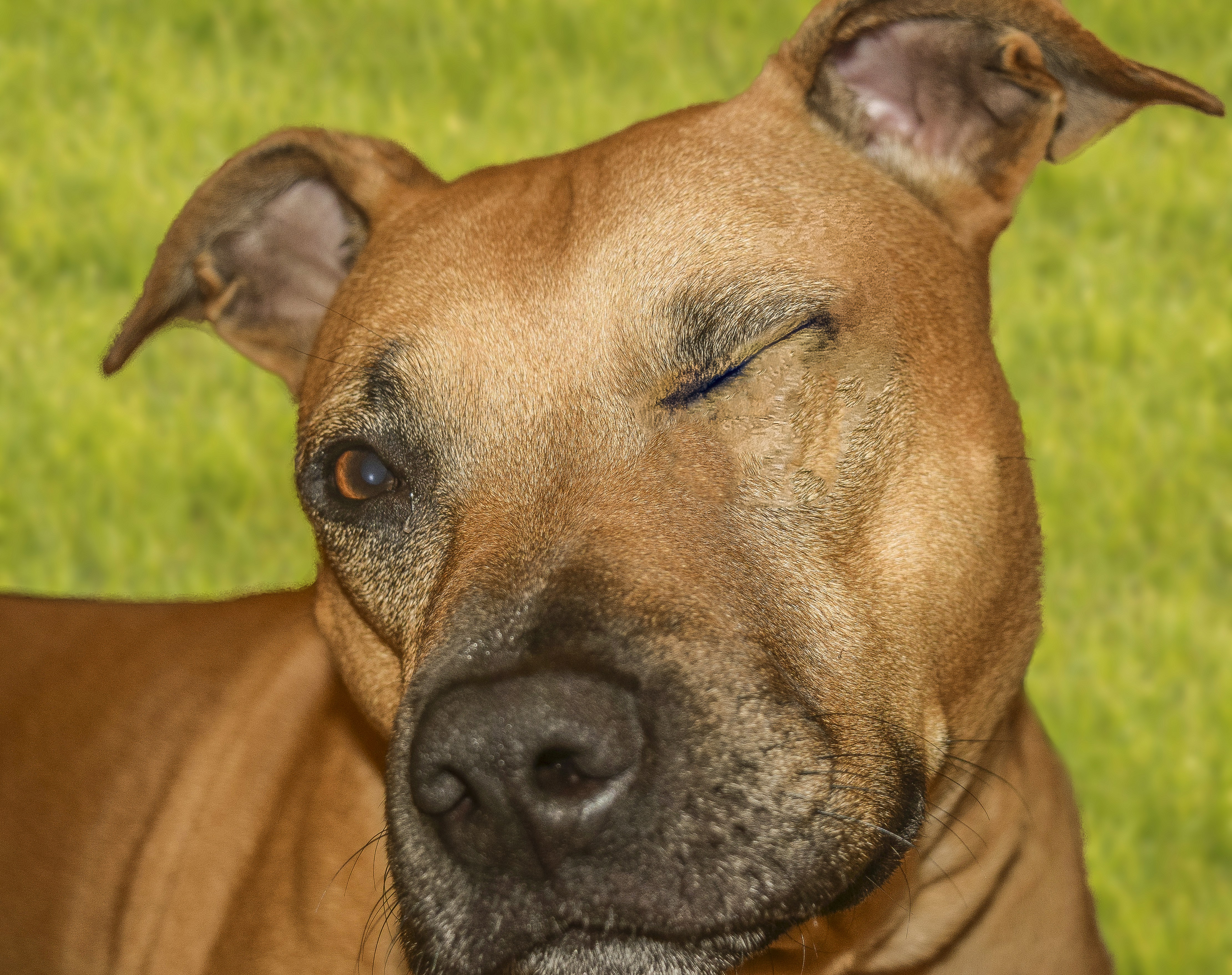 Free Unsplash photo from Jay Reilly