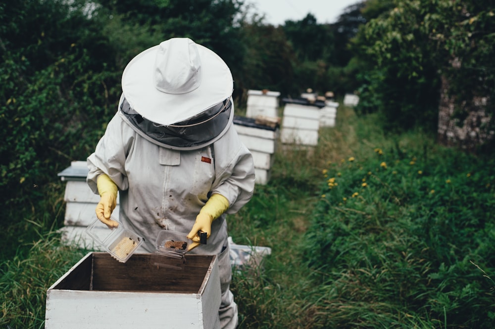 Bienenperson pflanzt