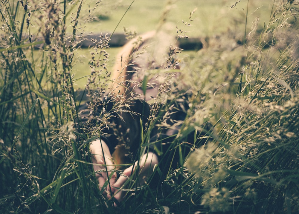 Mujer escondida en la hierba