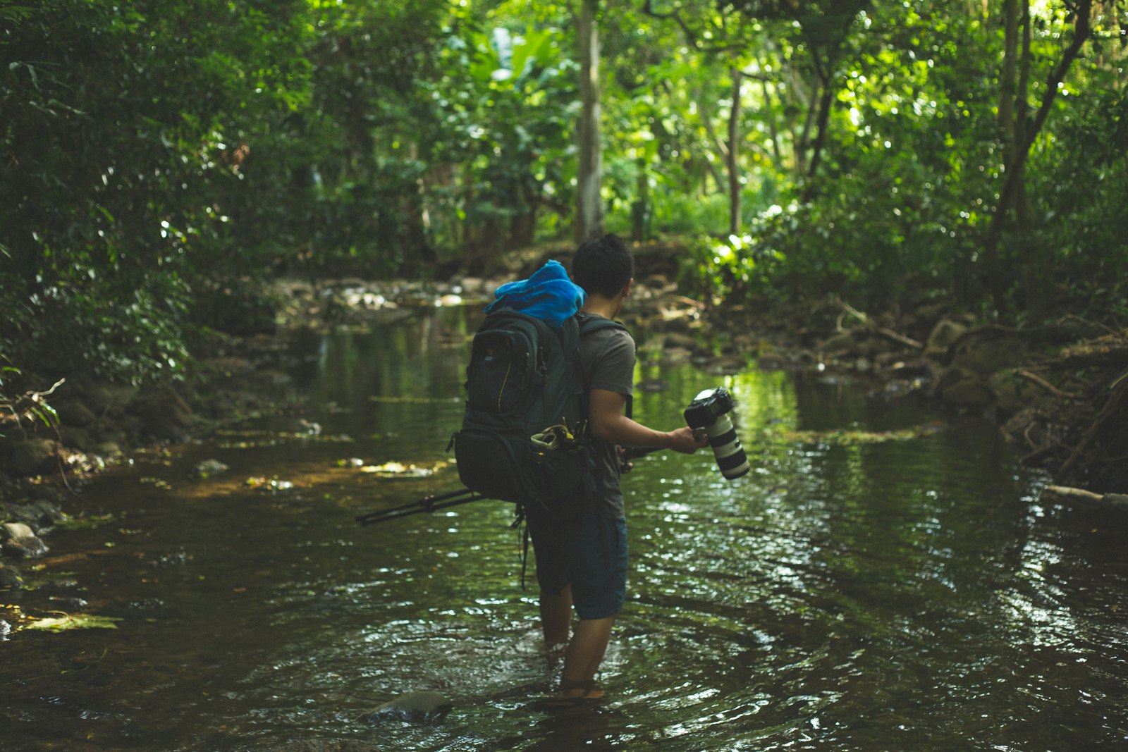 Canon EOS 5D Mark III + Canon EF 50mm F1.8 II sample photo. Shallow focus photography of photography