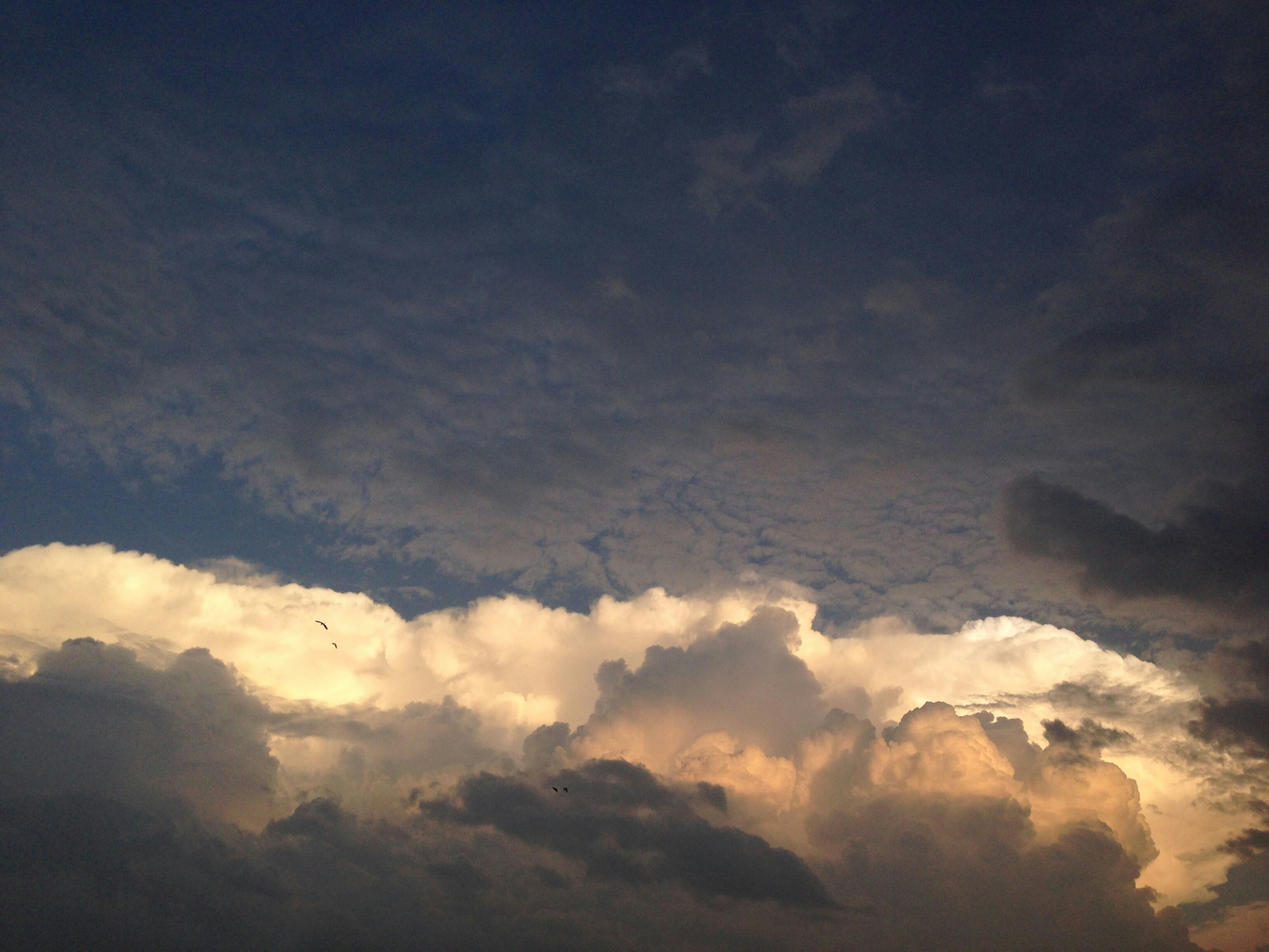 Free Unsplash photo from Shaw Zheng