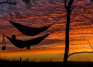 person lying on hammock