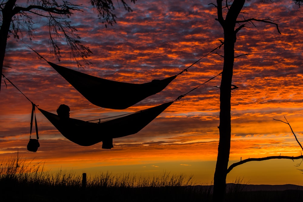 person lying on hammock