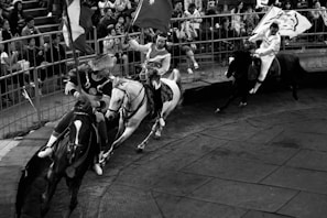 Three riders on horseback are engaged in what appears to be a dynamic, fast-paced equestrian performance or game. They are in traditional attire and holding flags while racing around a fenced arena. Spectators in the background watch the action with interest.