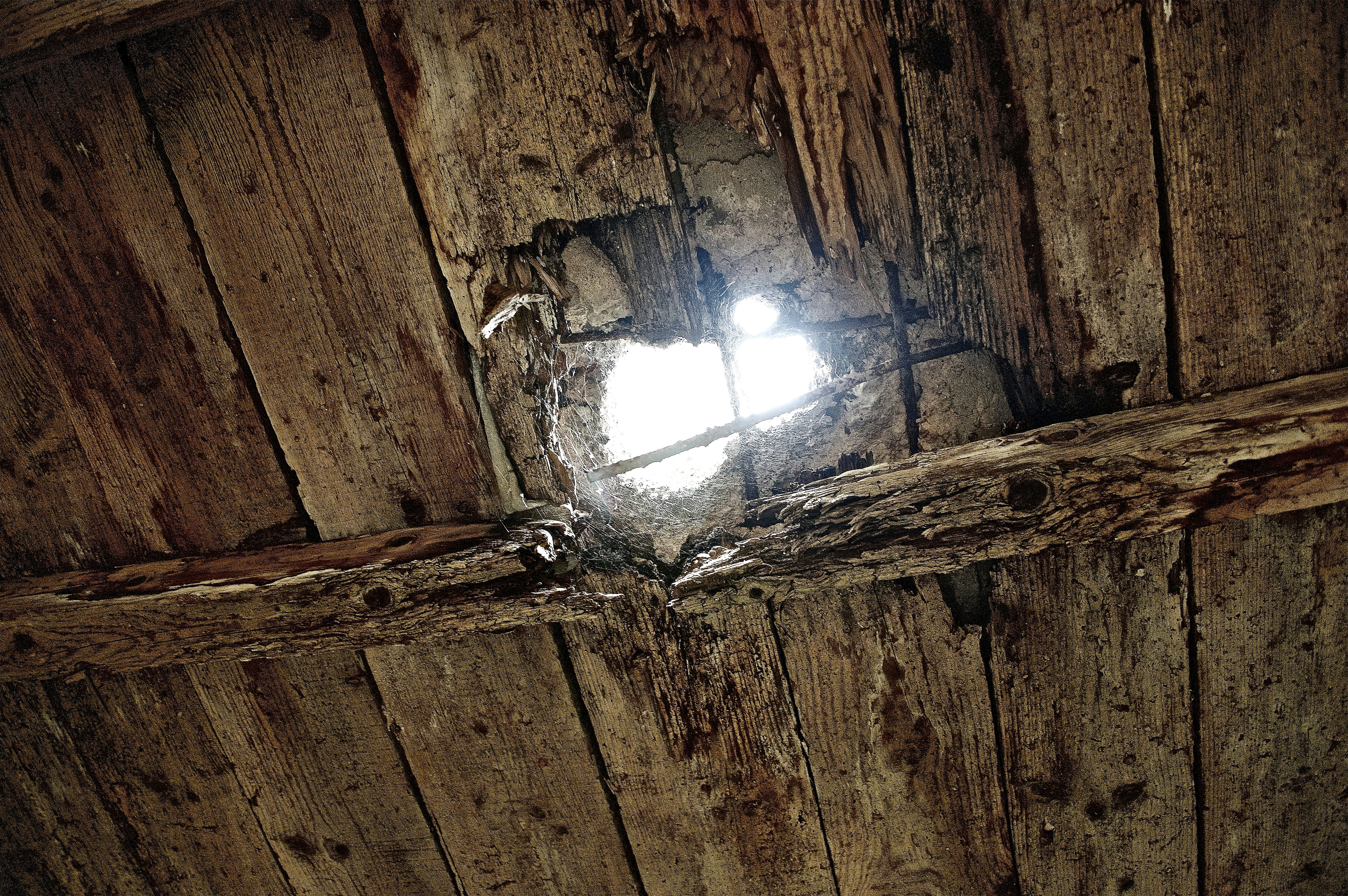 Free Unsplash photo from Griffin Hooper