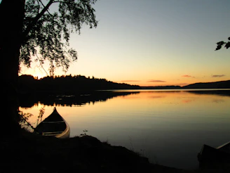 A serene lakeside scene at sunset with a lone canoe resting on the shore, framed by tall pine trees.