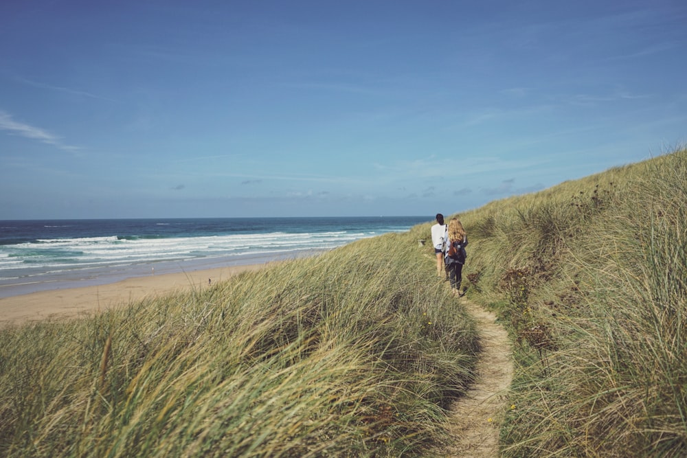 people walking between green grass near shore during daytime