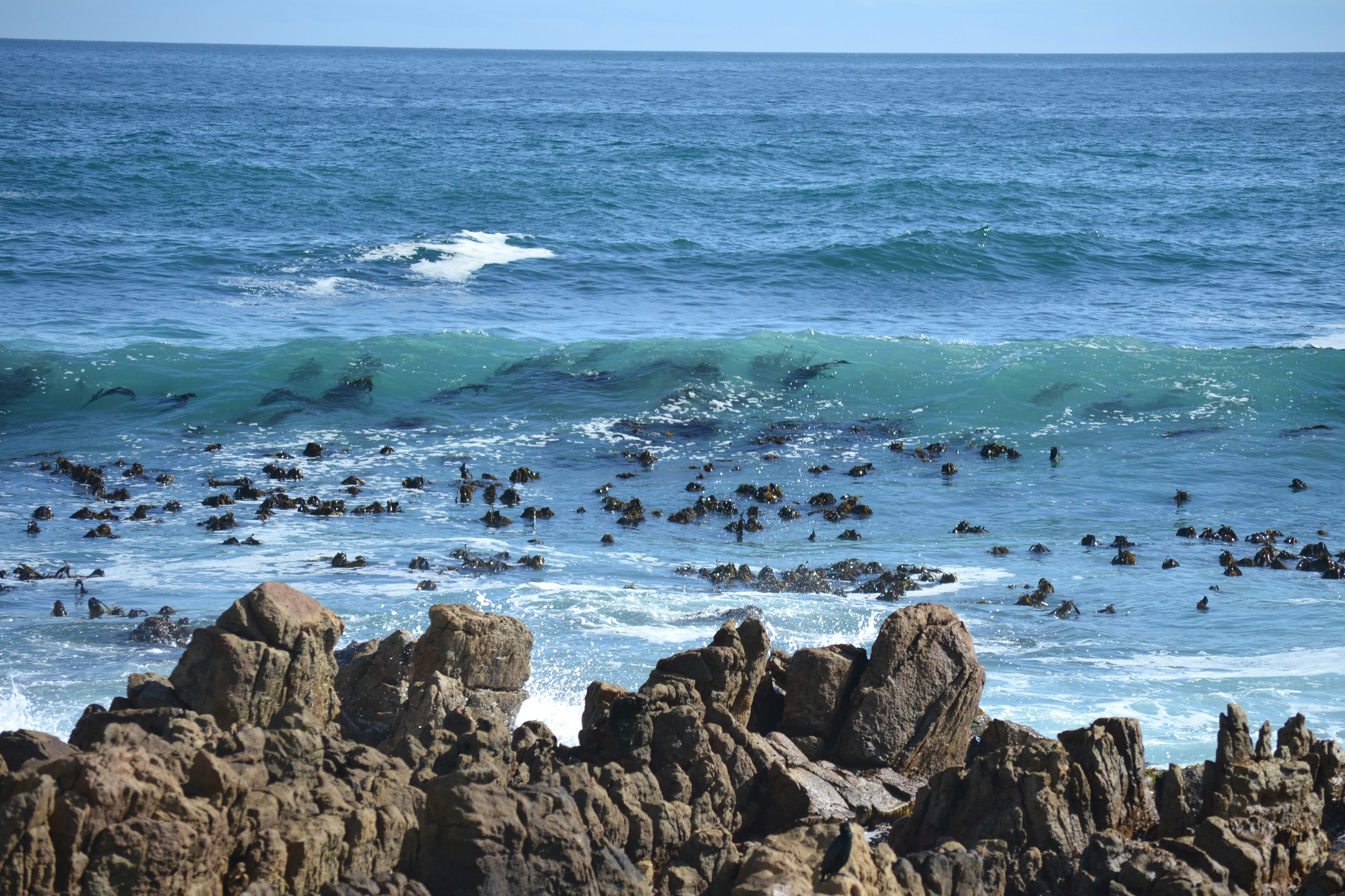 Free Unsplash photo from Carolinie Cavalli