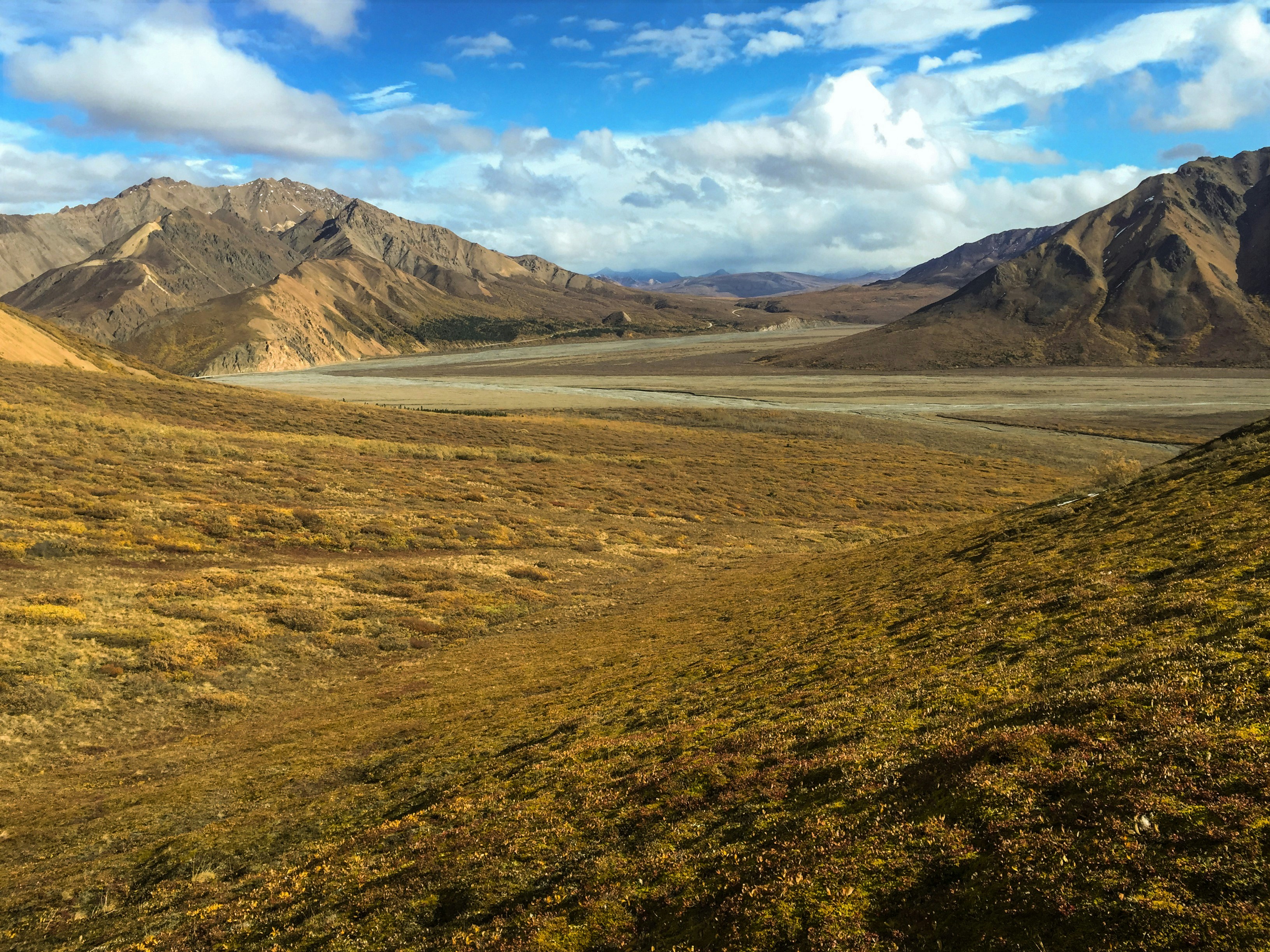 Free Unsplash photo from Andrew Tyler