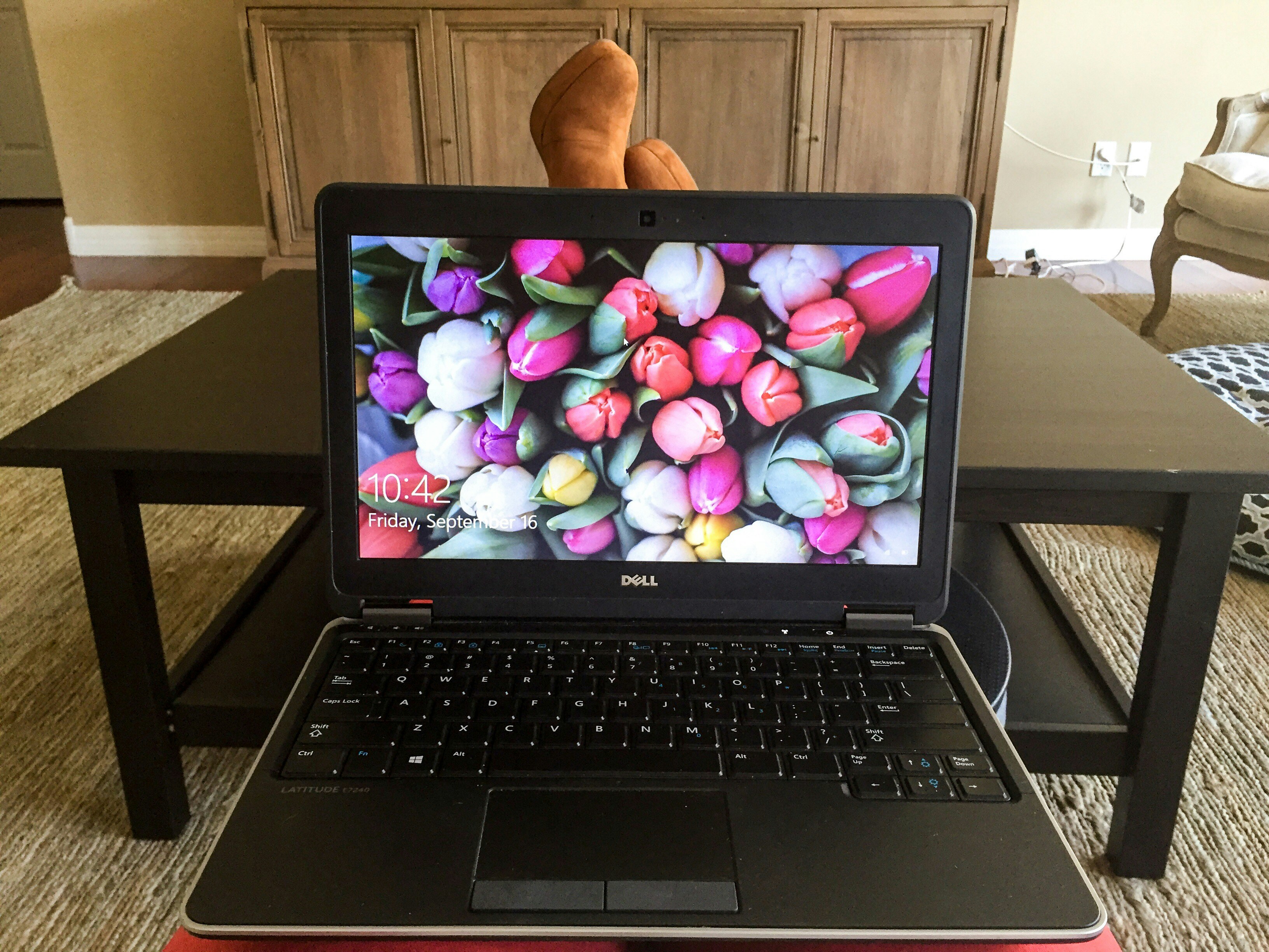 Free Unsplash photo from Aurelie Tack