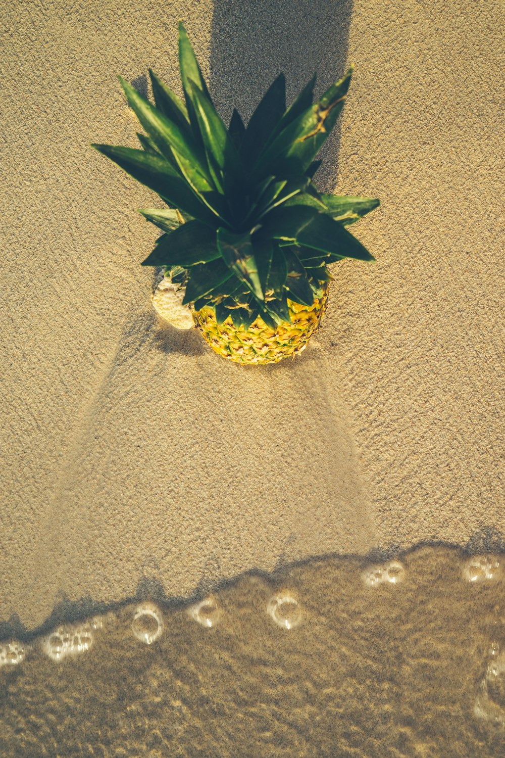 ananas sur le sable