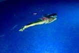 A person is swimming underwater in a pool, wearing a pink swimsuit. The pool's tiles are blue, and the water is clear, with gentle ripples created by the swimmer's movement.
