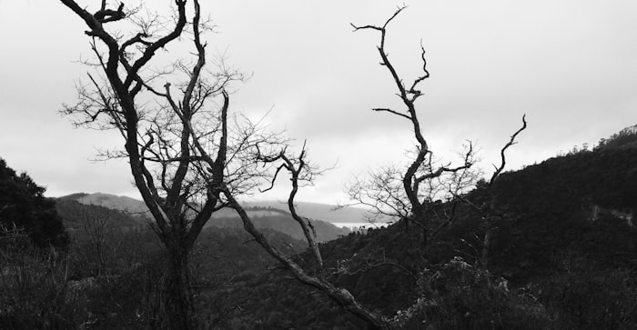 Rotorua Lakes & Volcanic Tour