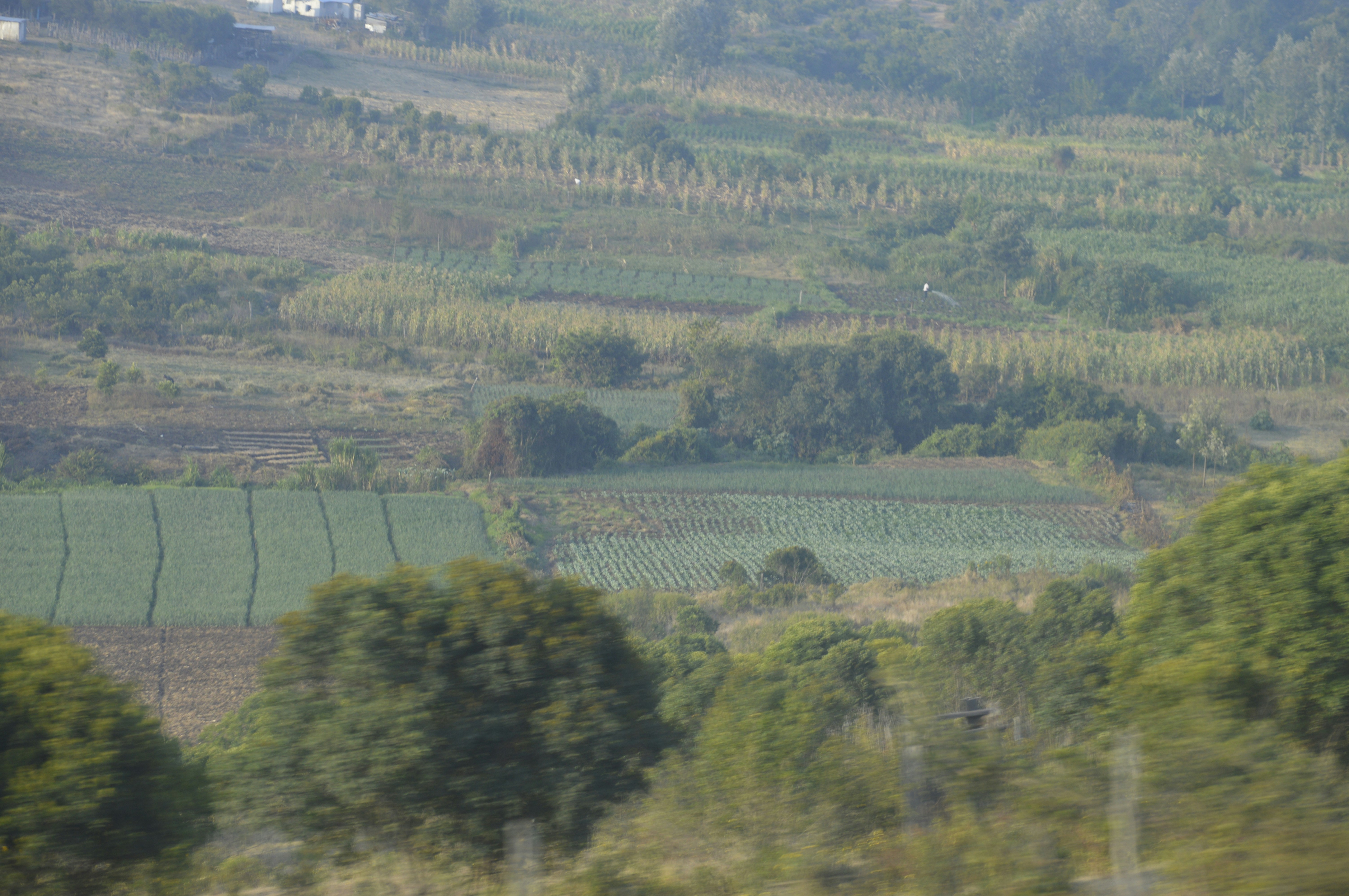 Free Unsplash photo from Philip mundia