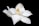 closeup photo of white petaled flower