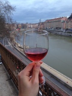 Group of happy tourists sipping wine on a terrace overlooking the city’s iconic red rooftops.