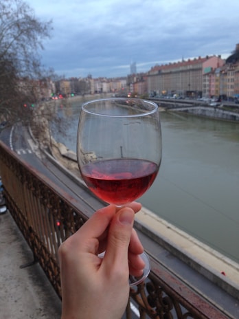 Group of happy tourists sipping wine on a terrace overlooking the city’s iconic red rooftops.