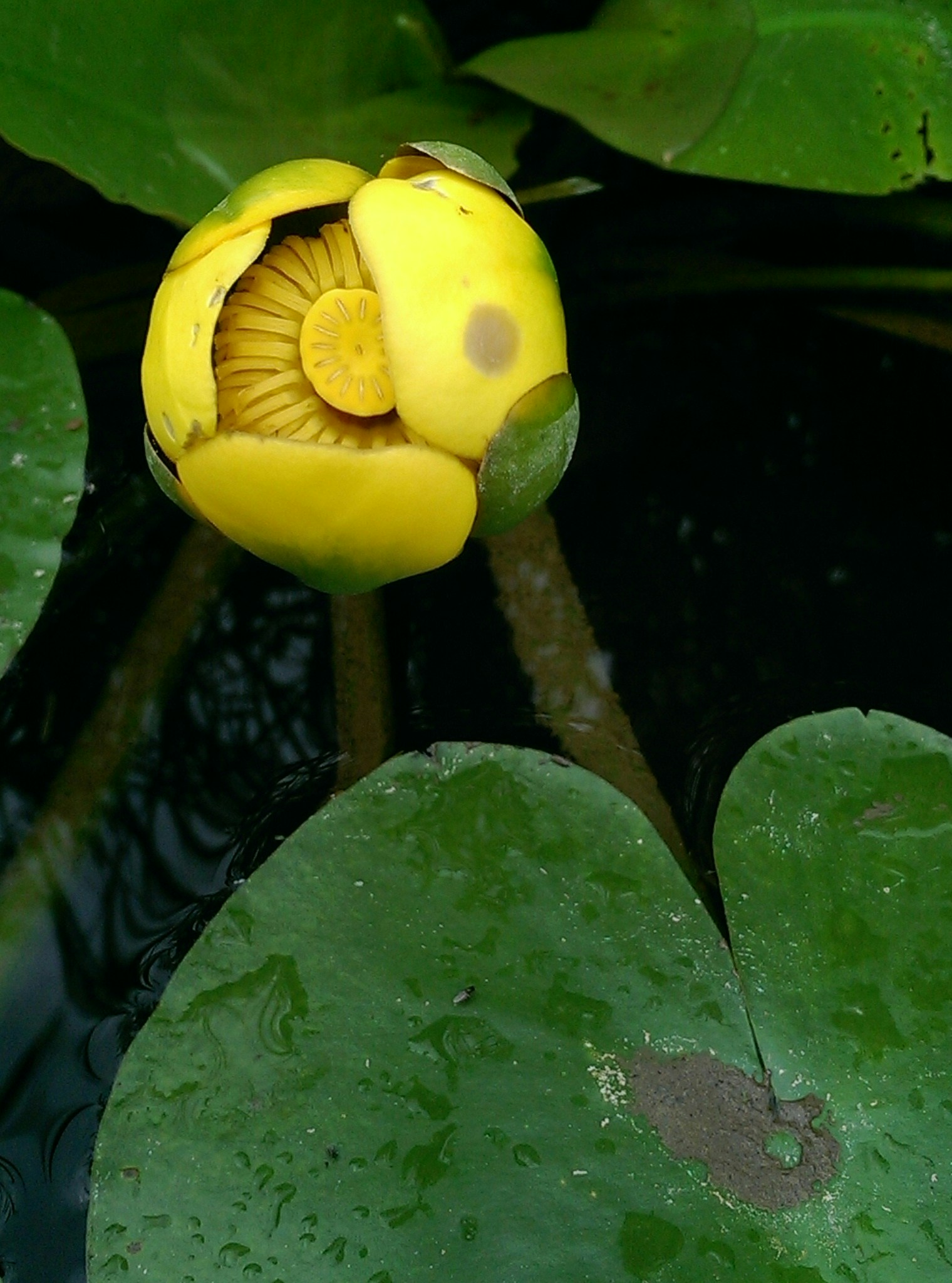 Free Unsplash photo from Aasha Edwards