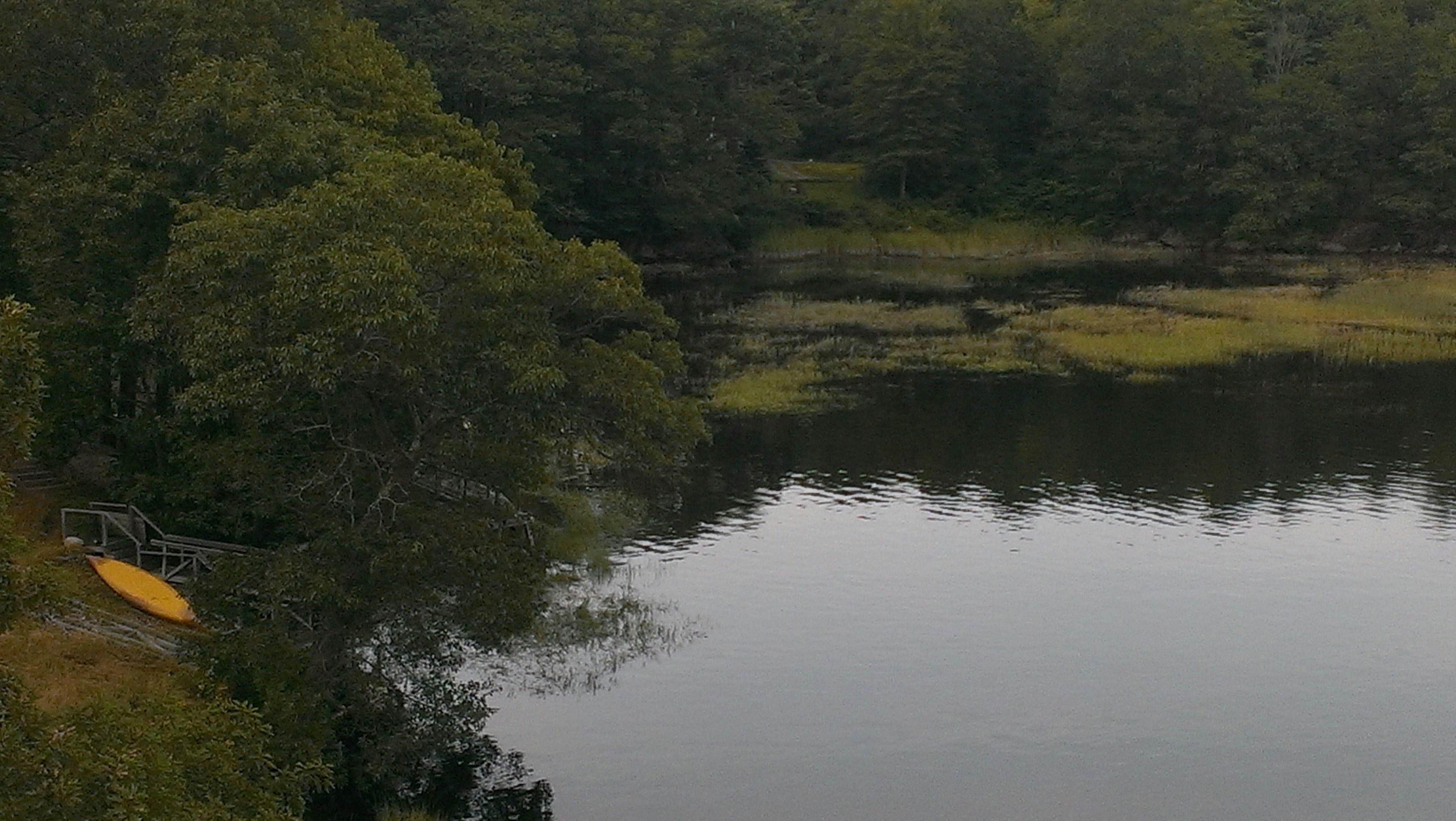 Free Unsplash photo from Aasha Edwards