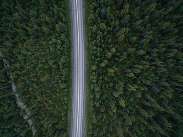 aerial view photography of time-lapse cars on road near trees