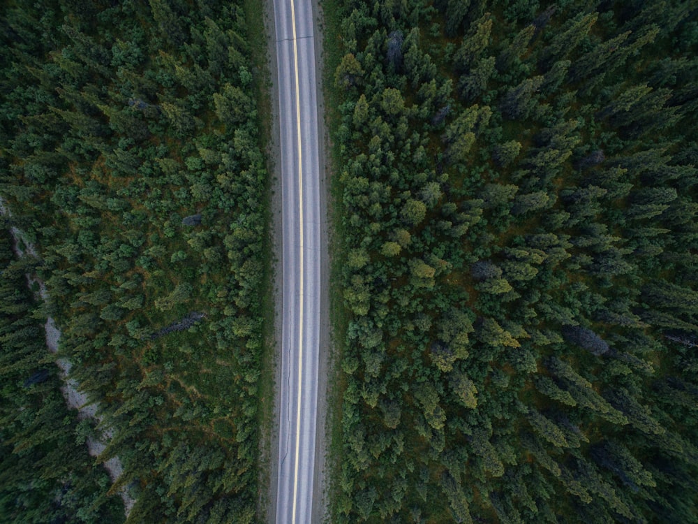 木の近くの道路を走るタイムラプスカーの空撮写真