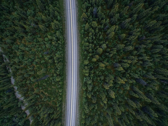 aerial view photography of time-lapse cars on road near trees in Denali National Park and Preserve United States