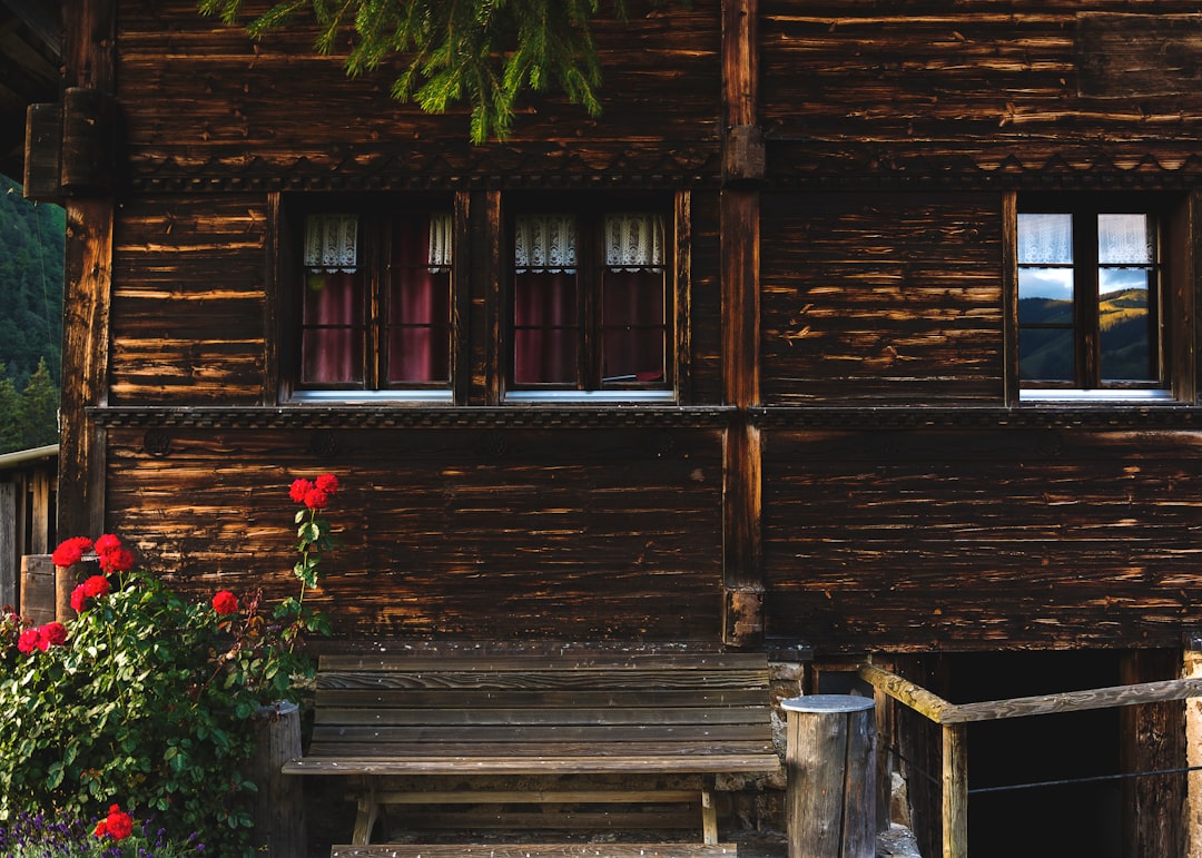 brown wooden house