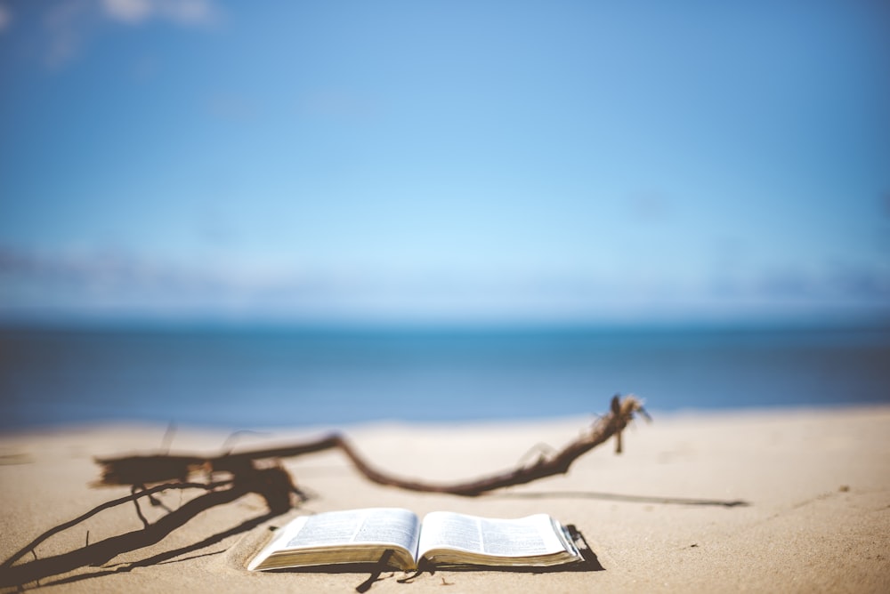 opened book near brown wood branch on sand under blue sky