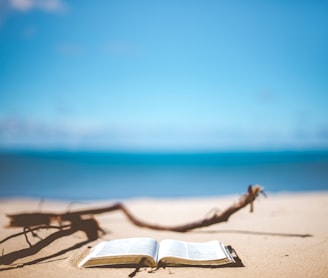 opened book near brown wood branch on sand under blue sky