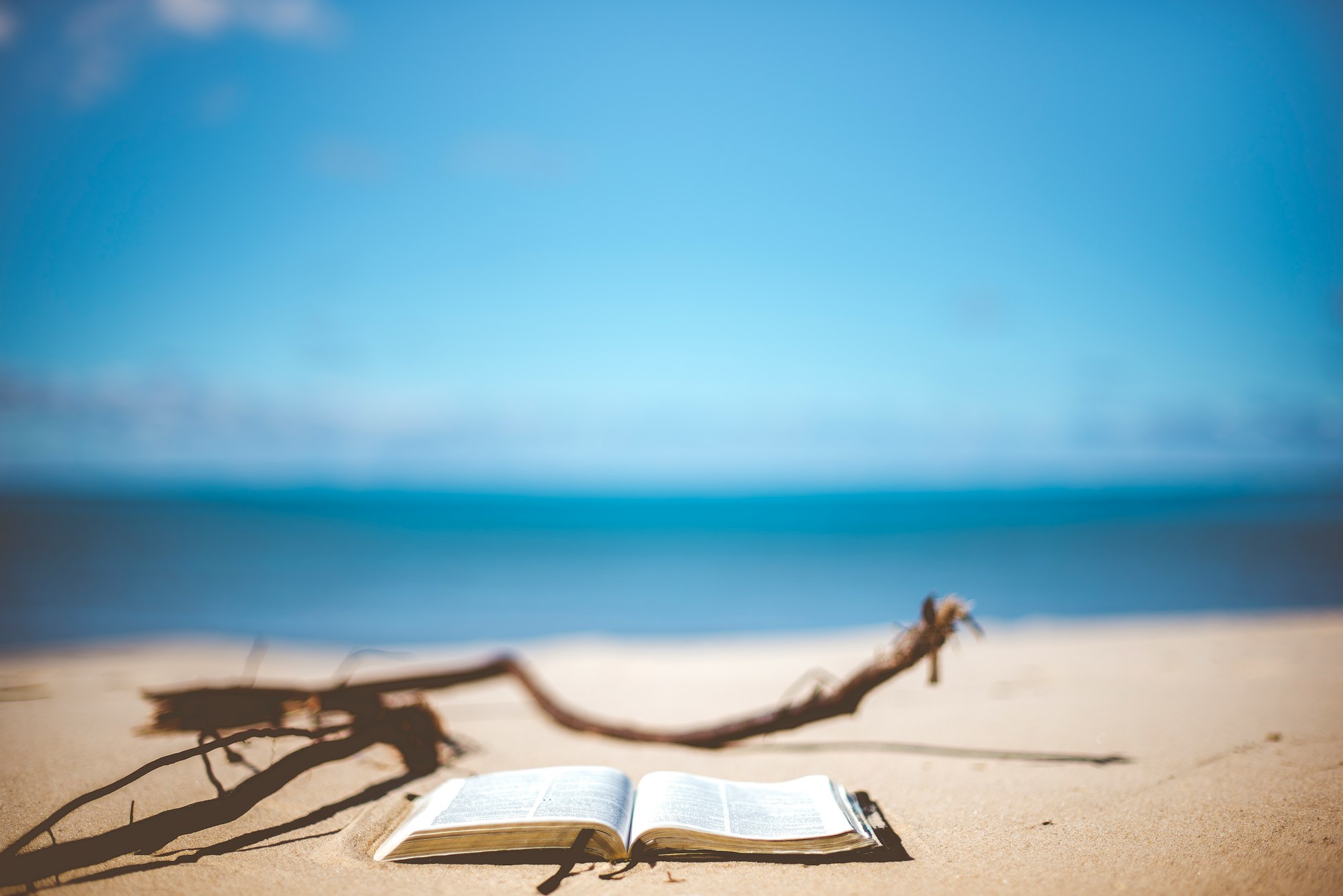 Reading: Beach Read