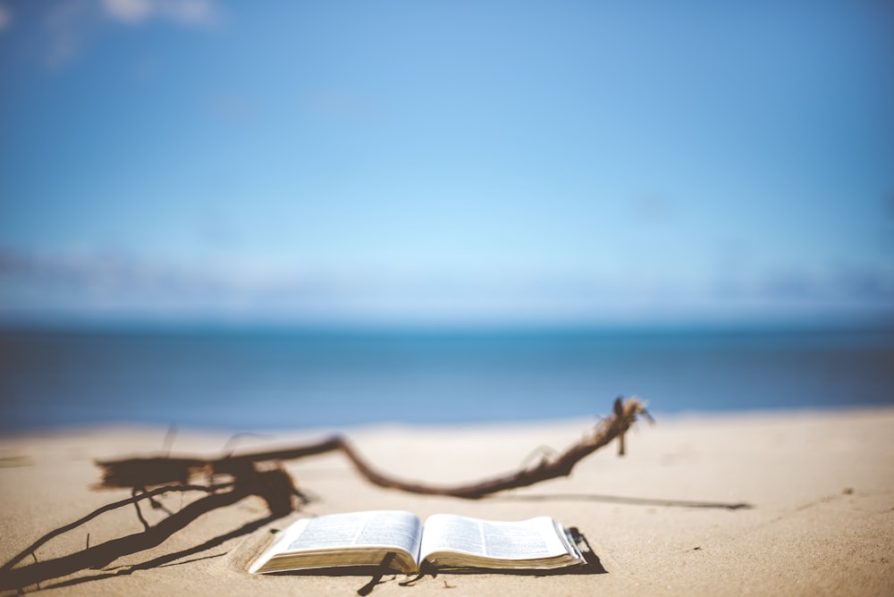 livro aberto perto de ramo de madeira marrom na areia sob o céu azul