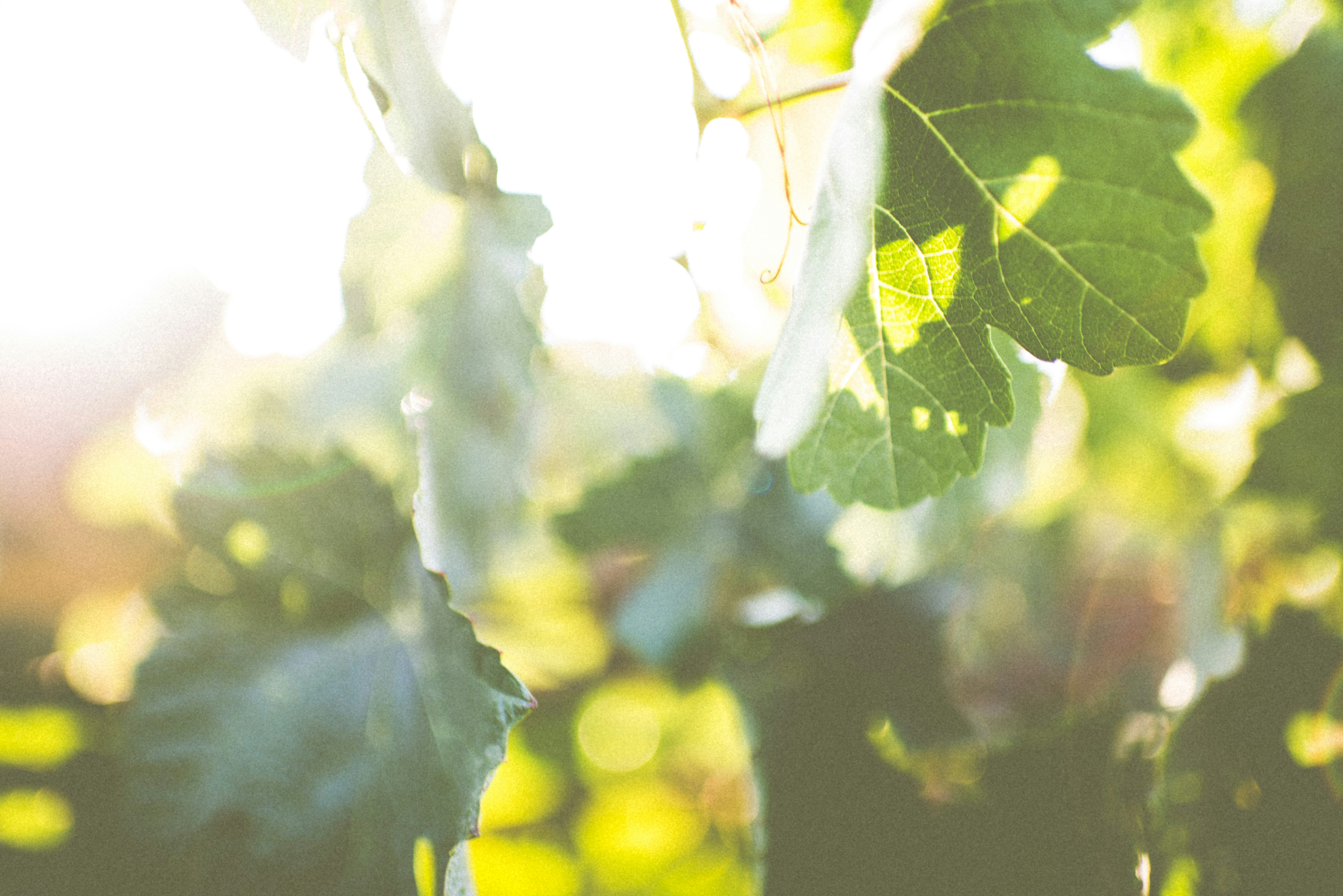 Free Unsplash photo from Amos Bar-Zeev