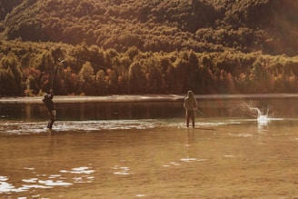 Two individuals are fly fishing in a shallow, calm body of water surrounded by dense, forested hills. The water reflects the warm, golden light of the sun, creating a serene and peaceful atmosphere.