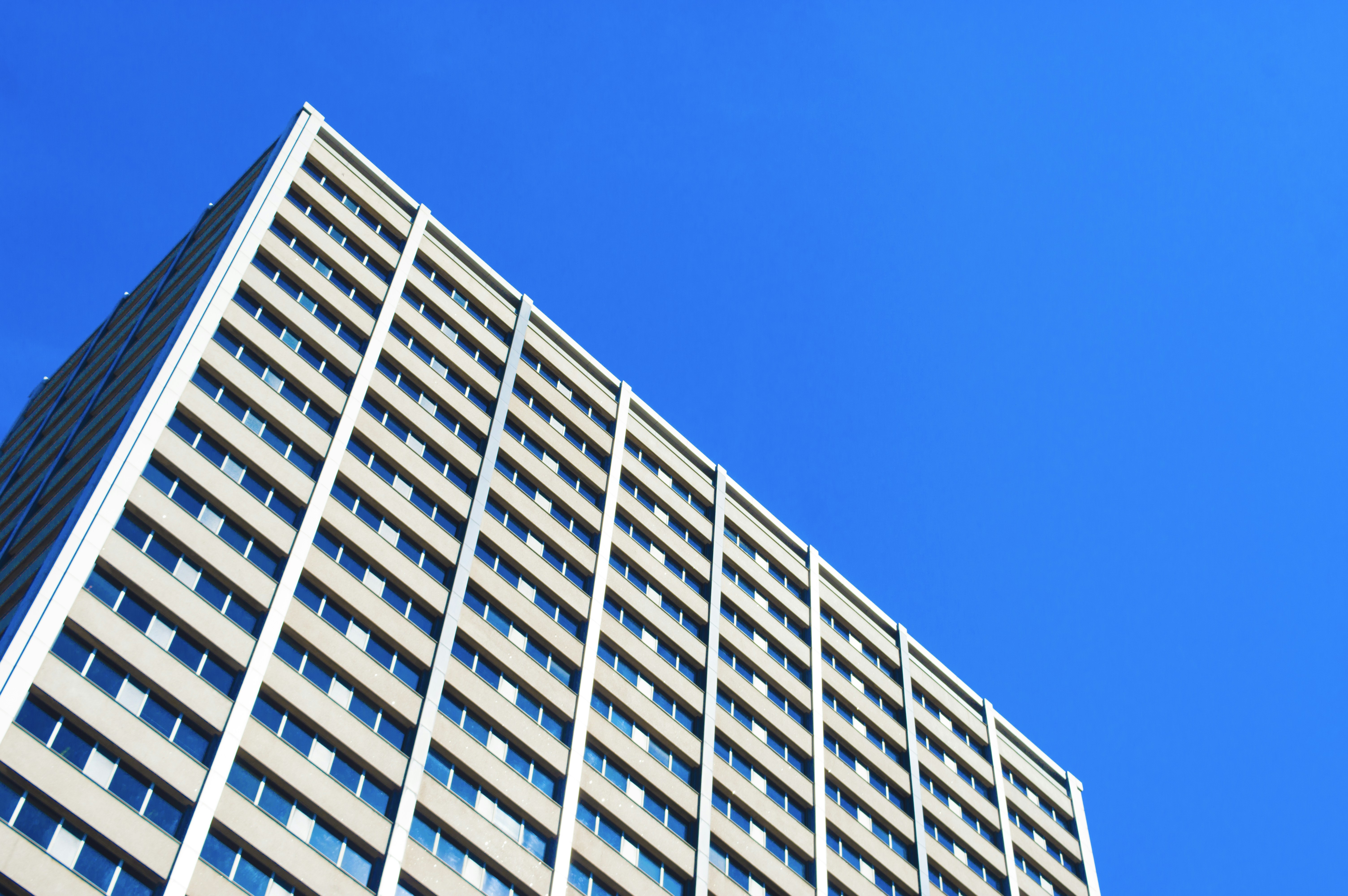 Free Unsplash photo from Luke Murace