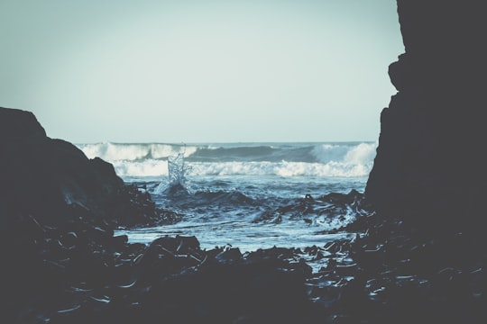 photo of Allans Beach Road Cliff near Dunedin Railways