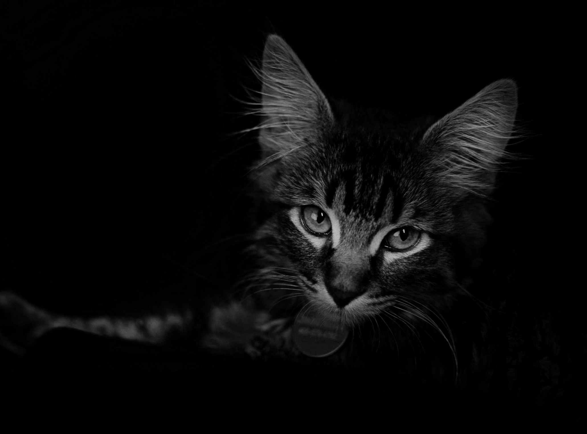 Free Unsplash photo from Ashton Mullins