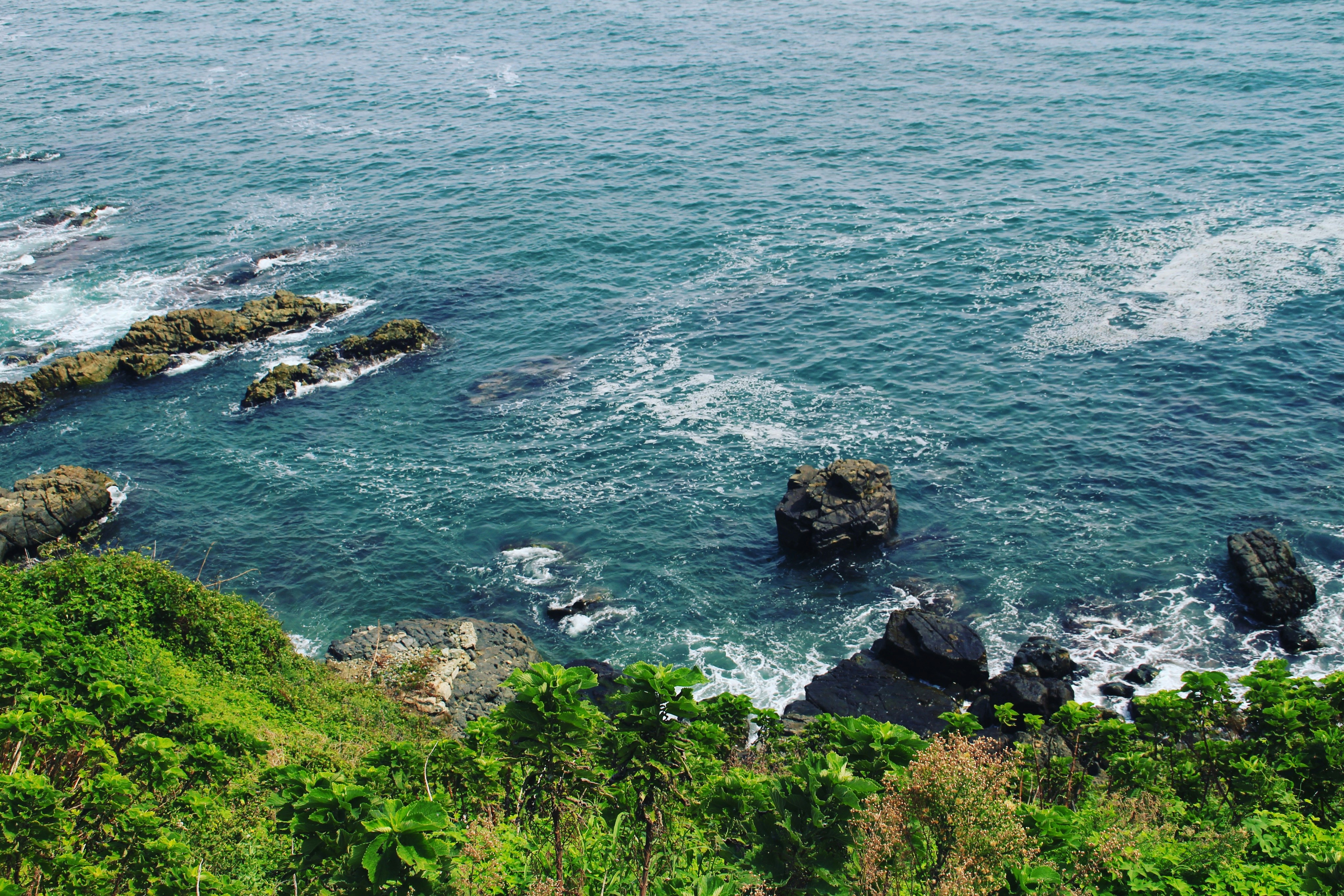 Free Unsplash photo from Victoria